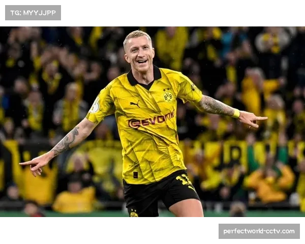 通讯：为抗议高票价，多特蒙德客场球迷在比赛第19分钟集体沉默